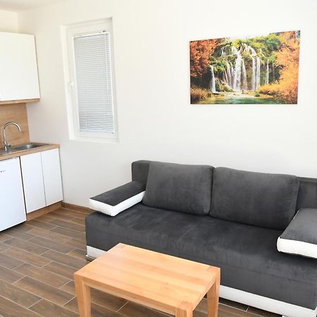 Srebrna Laguna Apartment Veliko Gradiste Luaran gambar